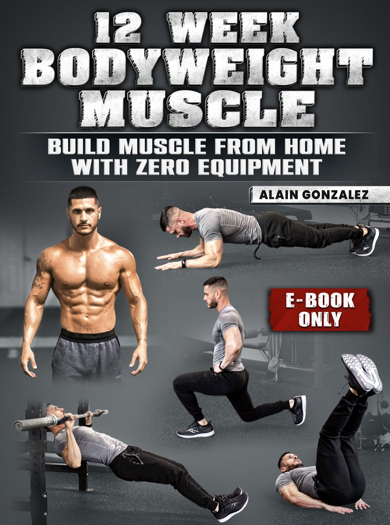 Full Body Weight Calisthenics At Home Program Bodyweight Home